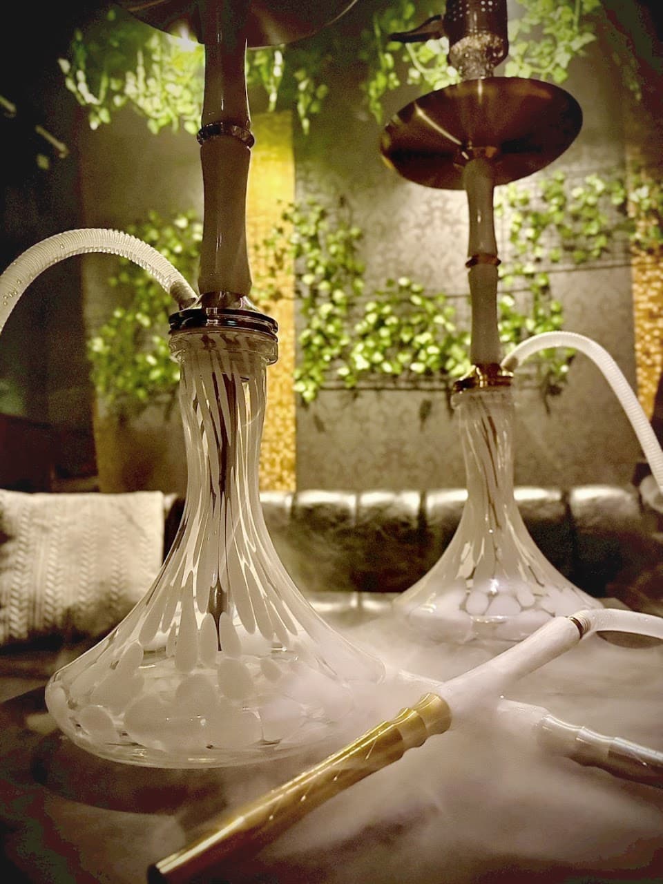 Shisha Cafe&Bar シーシャ カフェ バー 吸いーとぴー 3