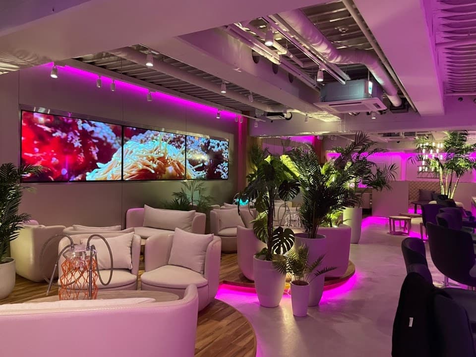 AVALON 心斎橋 シーシャ カフェ&バー 3